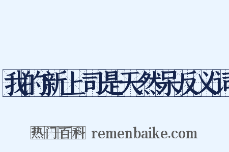 我的新上司是天然呆反义词是什么意思的图片